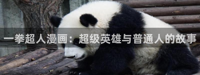 贝勒漫画在线免费看：一拳超人漫画：超级英雄与普通人的故事