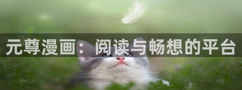 贝勒漫画网址：元尊漫画：阅读与畅想的平台