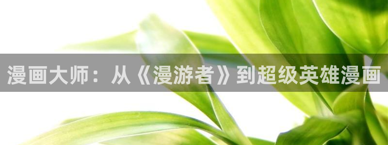 贝勒漫画在线观看漫画：漫画大师：从《漫游者》到超级英雄漫画